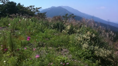 愛媛県四国中央市