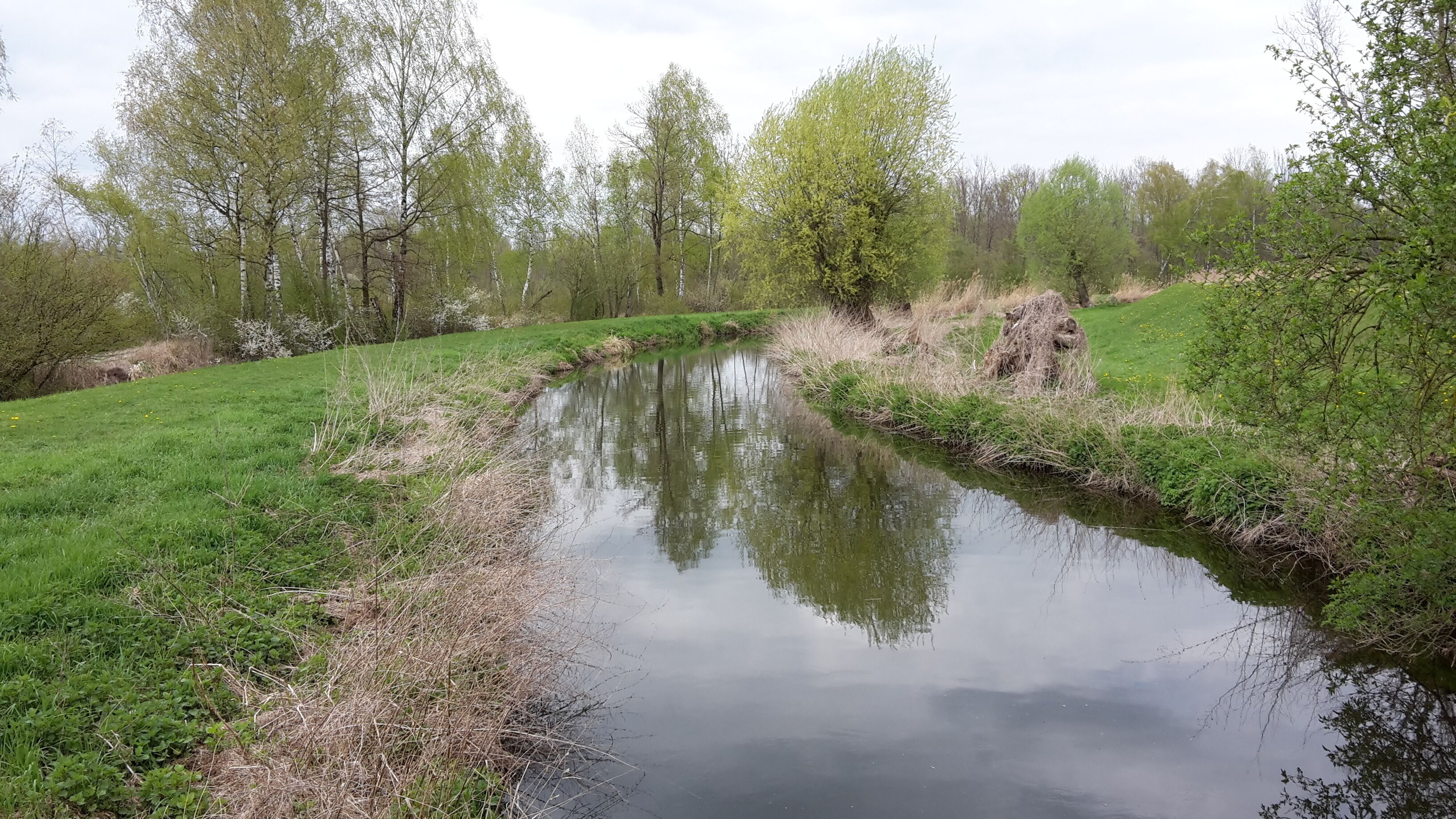 Roth zwischen Oberfahlheim und der Mündung