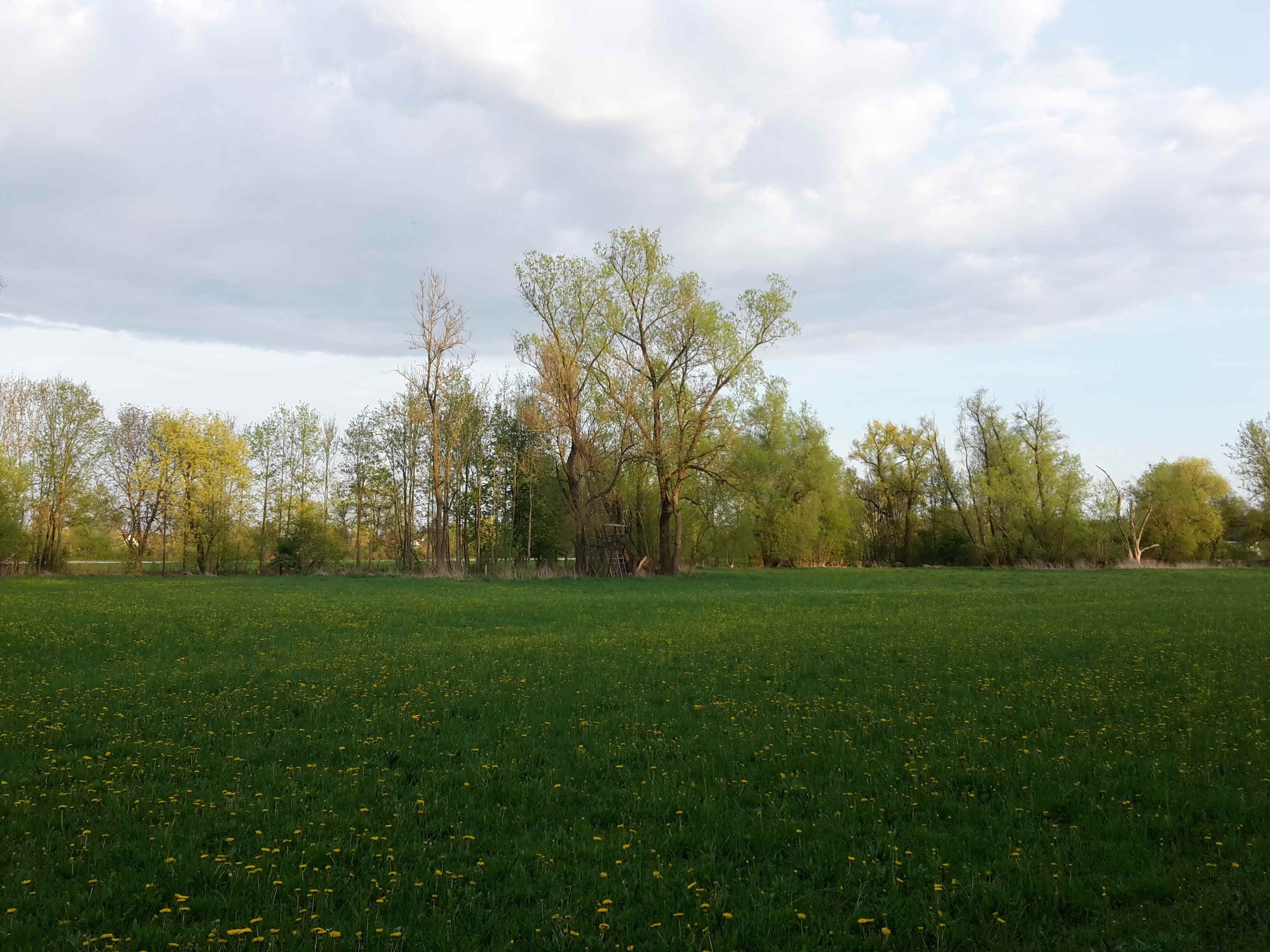 Rothaue vom hinteren Stallholz aus gesehen