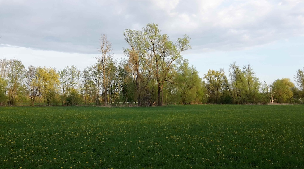 Rothaue vom hinteren Stallholz aus gesehen