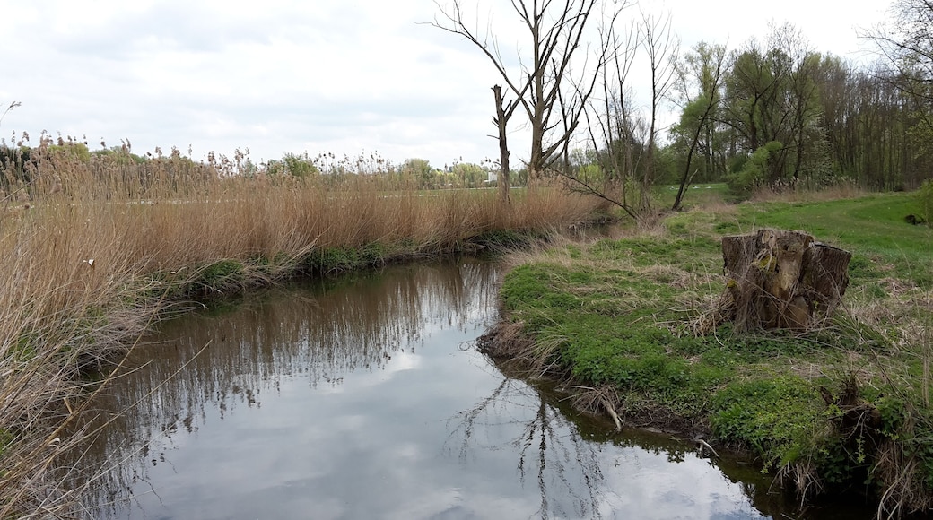 Roth zwischen Oberfahlheim und der MĂŒndung