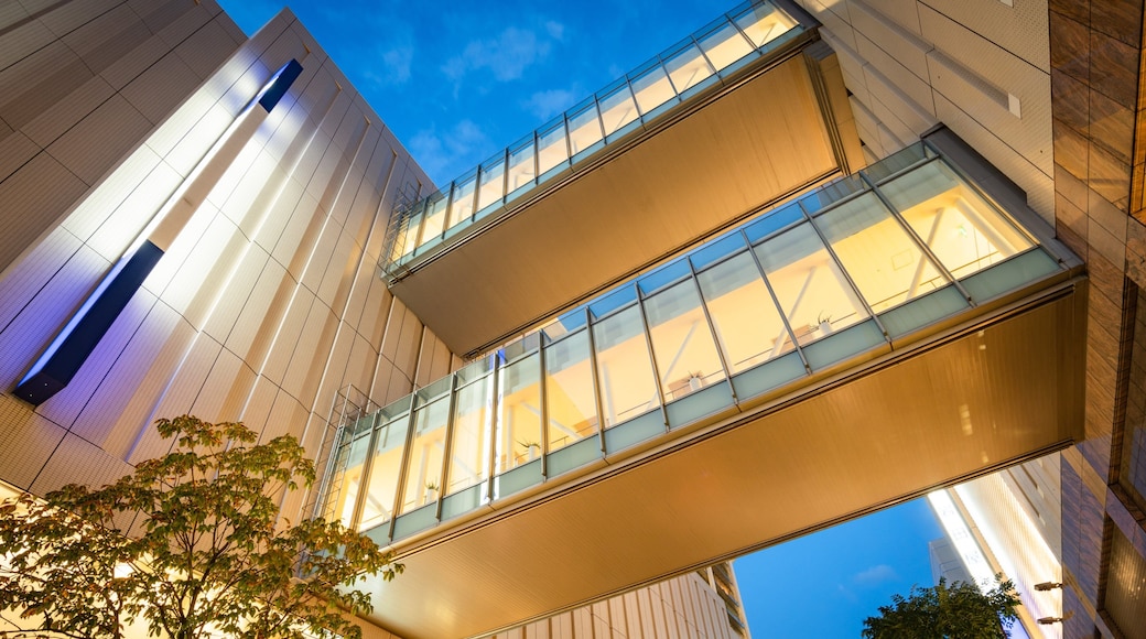 Tenjin which includes night scenes