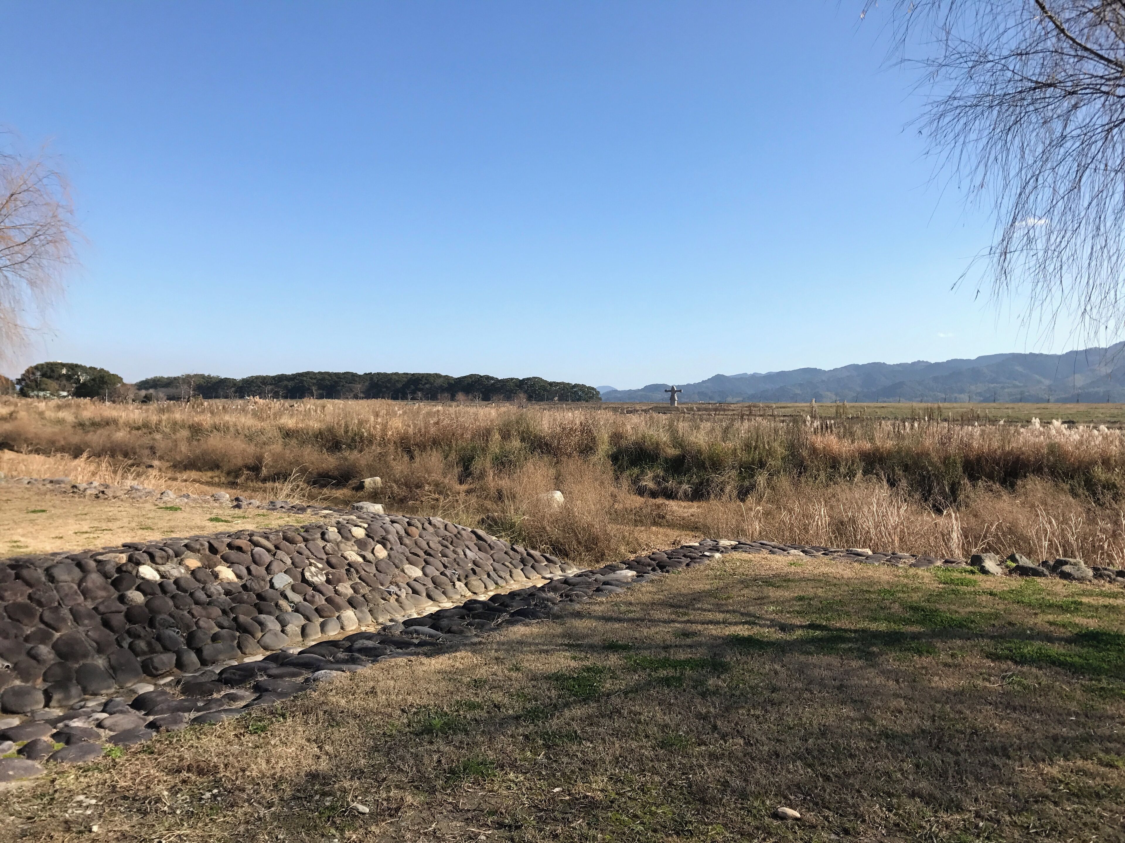 筑後船小屋駅東側の筑後広域公園
