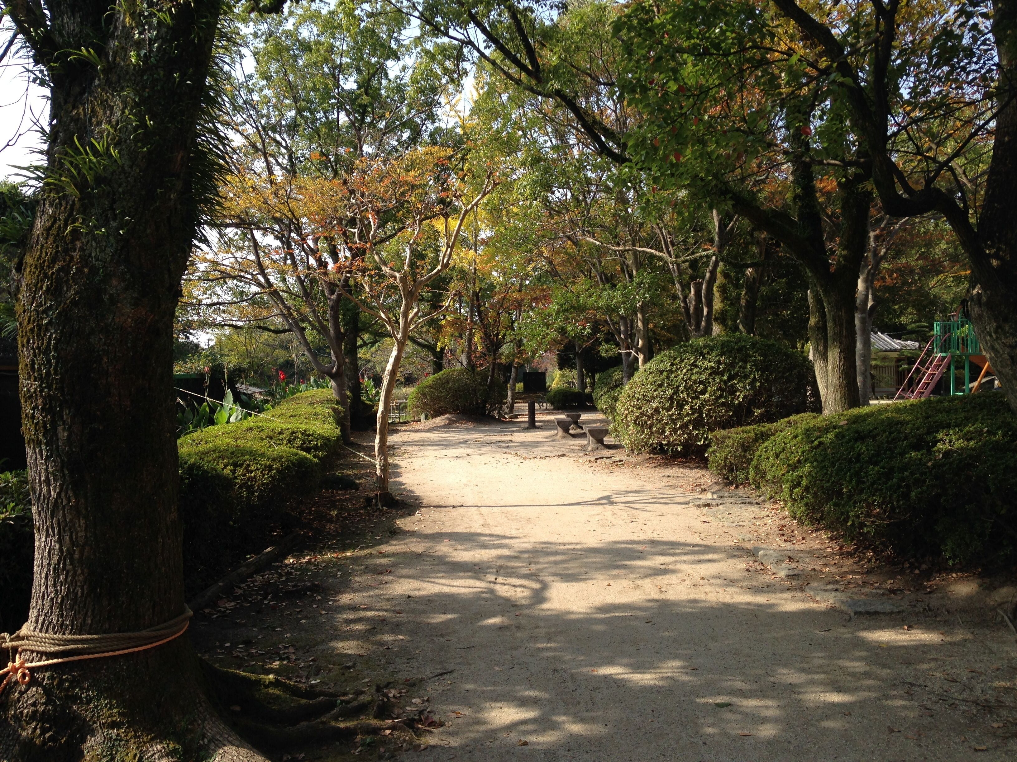 日吉神社の南側にある柳城児童公園