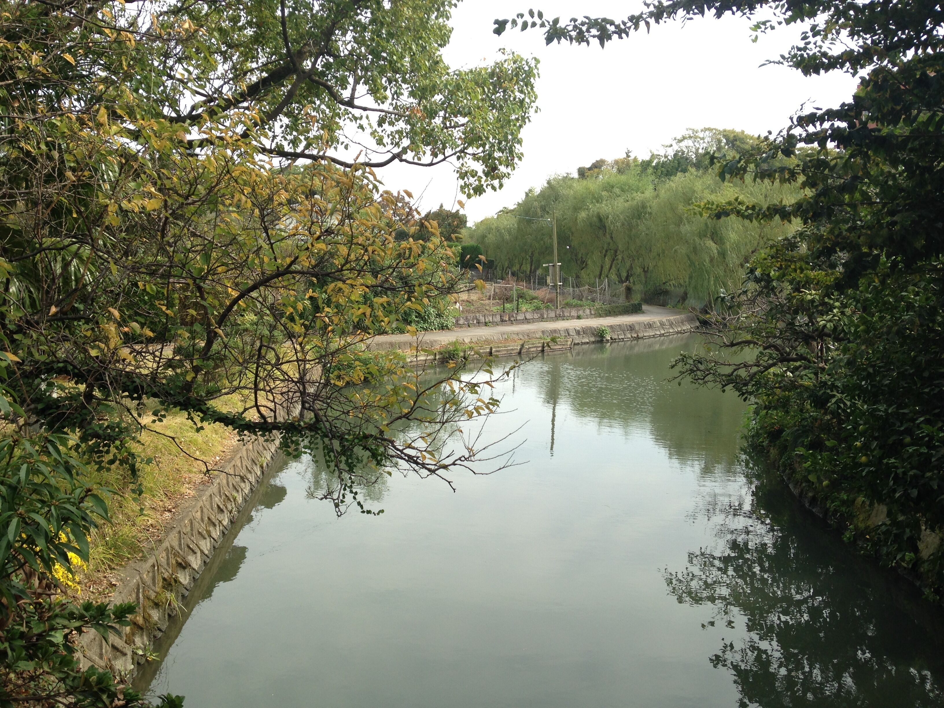 福岡県柳川市・弥兵衛門橋より望む掘割(東側)