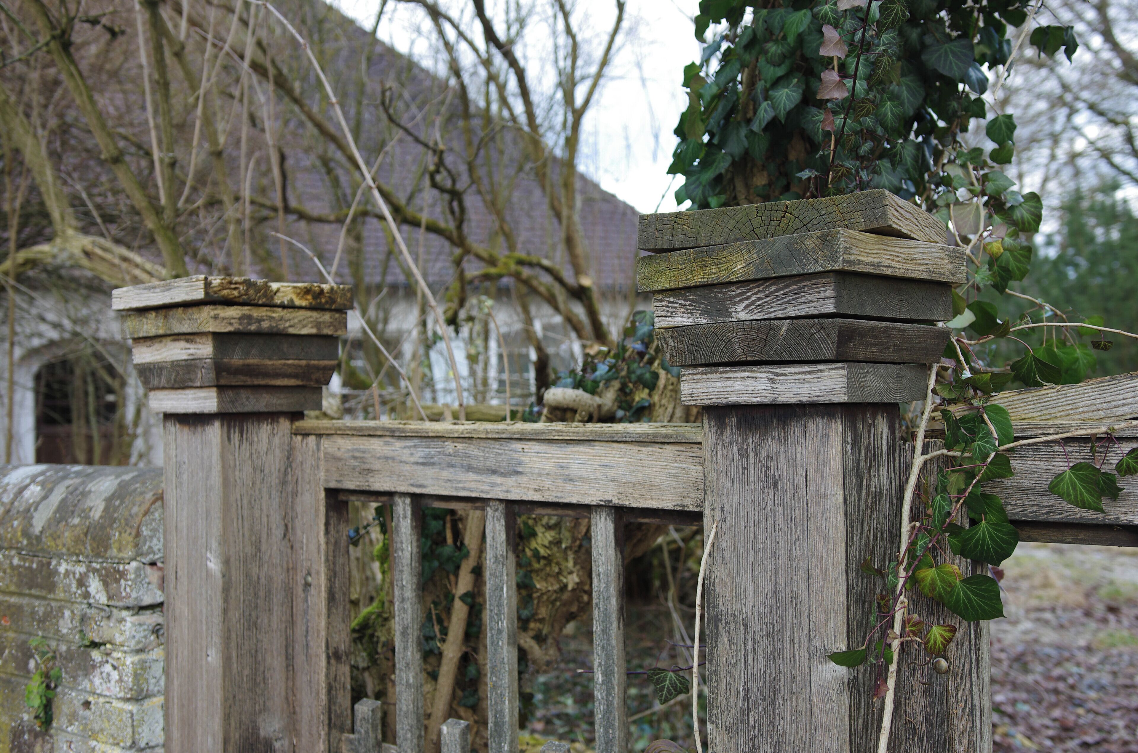 A weathered wooden fence with ivy growing on it.