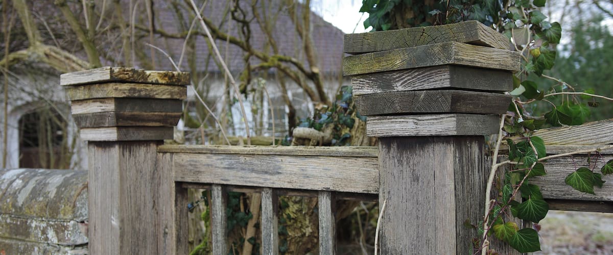 A weathered wooden fence with ivy growing on it.