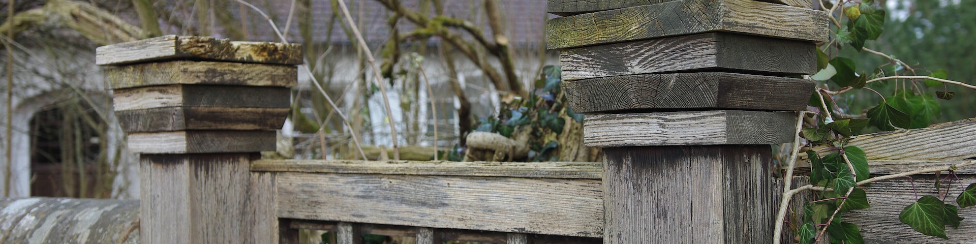 A weathered wooden fence with ivy growing on it.