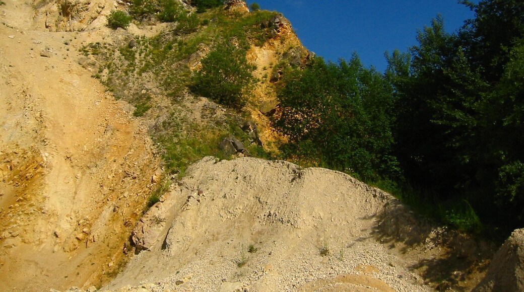 Aufschluss am Steinbruch Oppertshofen (Tapfheim)