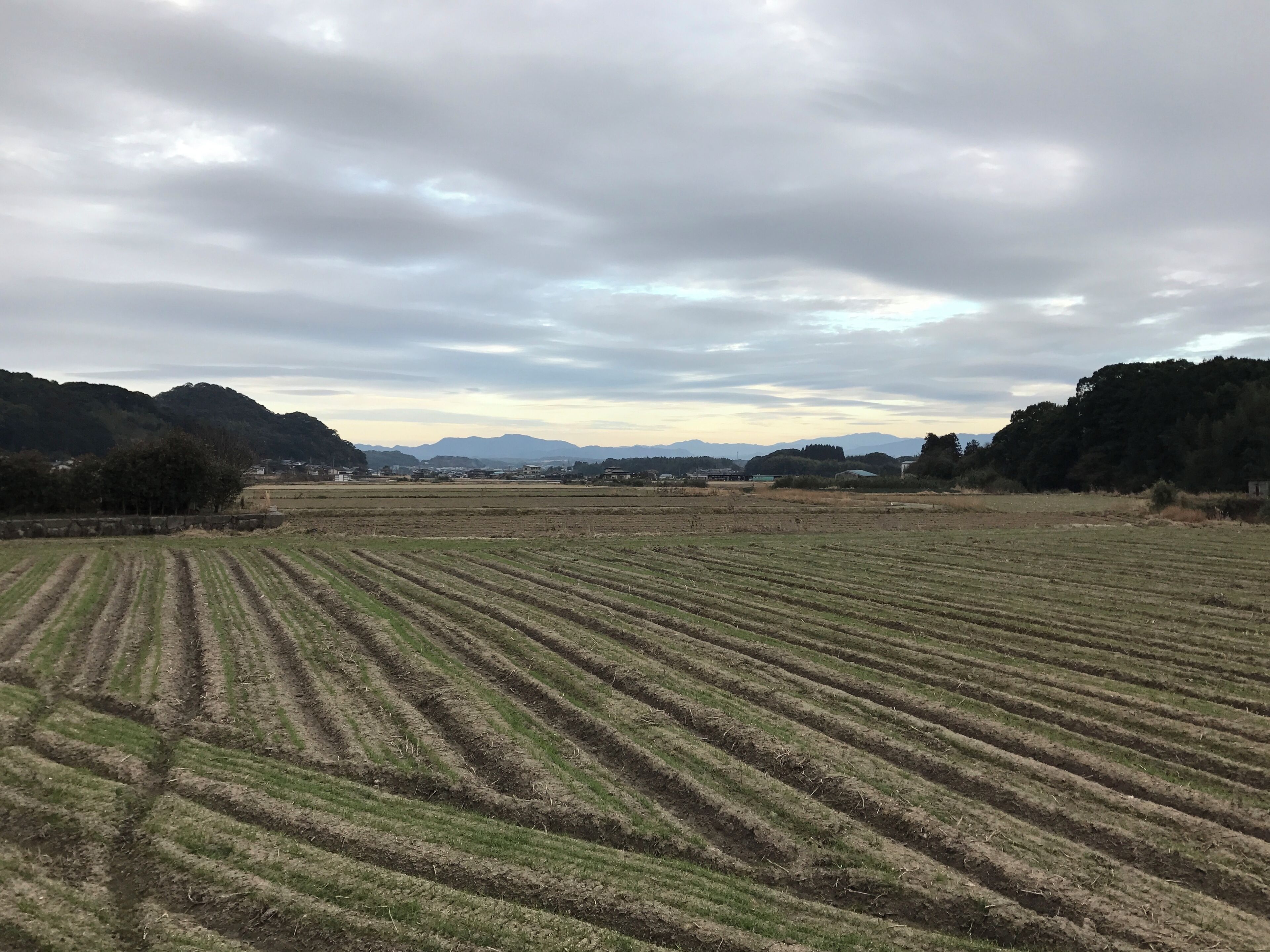 福岡県飯塚市大分の田園風景