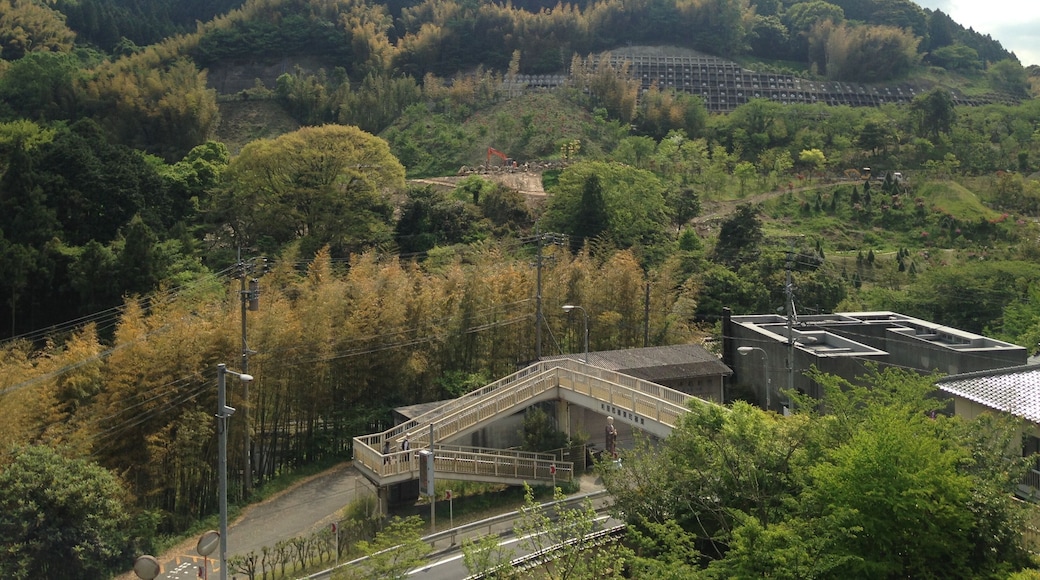 南蔵院境内より望む国道201号と歩道橋