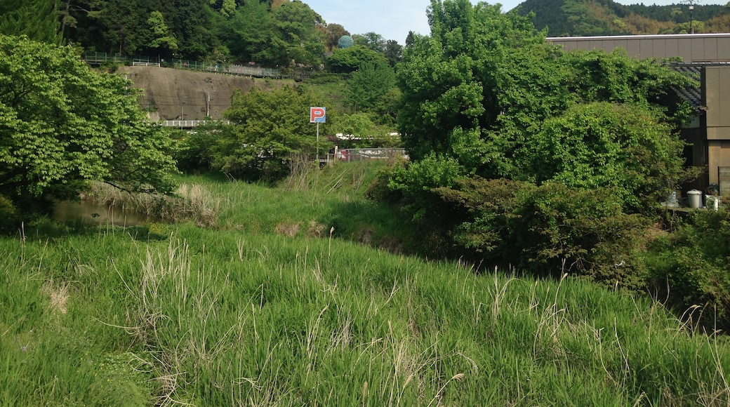 城戸音橋より望む多々良川(上流側)