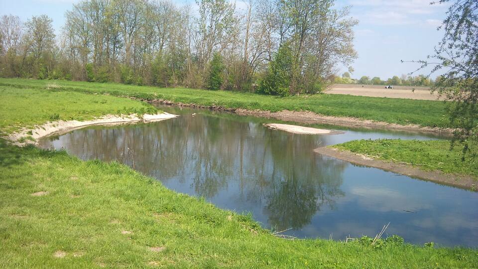A calm pond surrounded by green grass and trees.