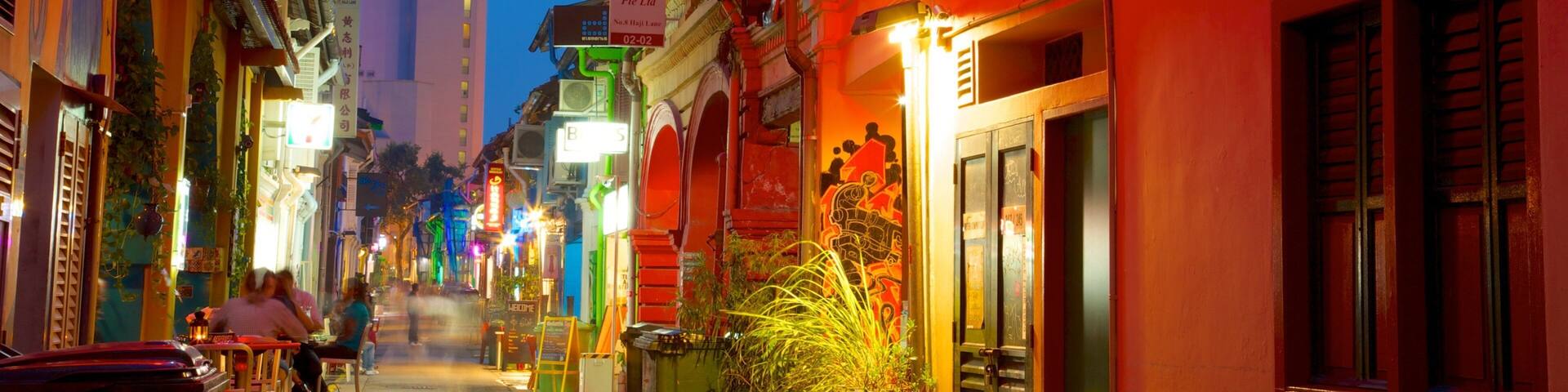 Haji Lane featuring signage, street scenes and a city