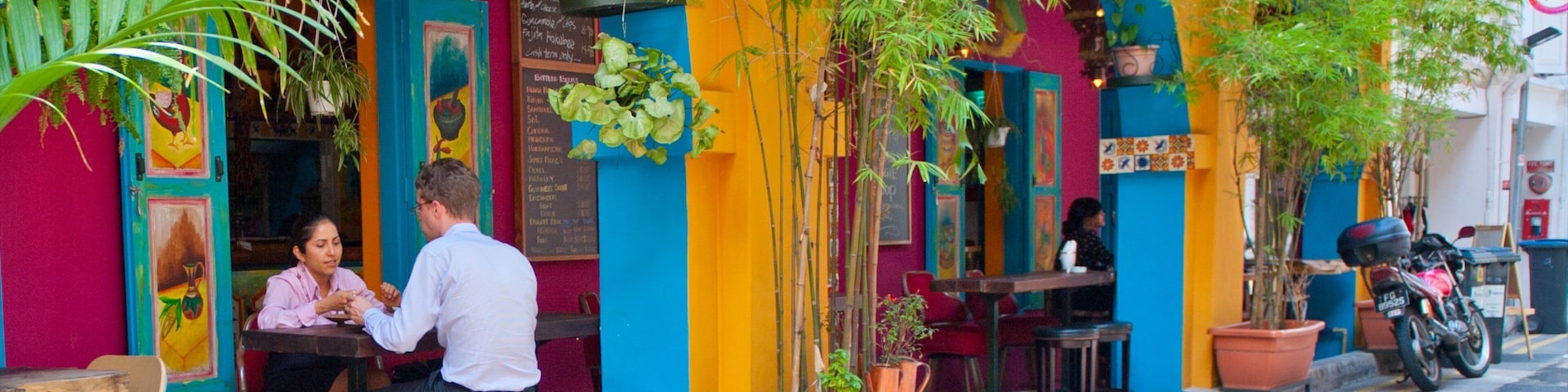 Haji Lane featuring street scenes and a city as well as a couple