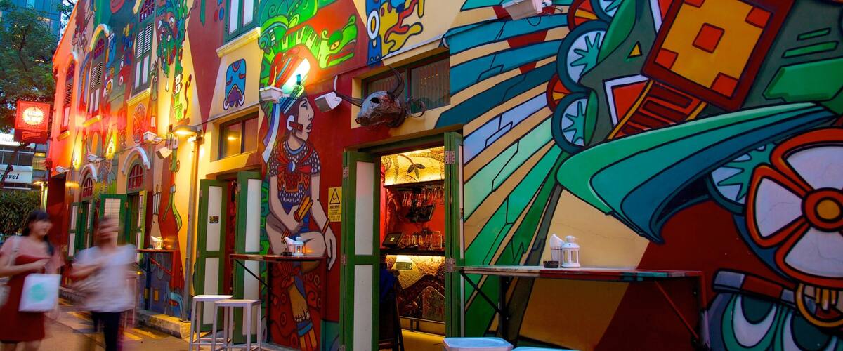 Haji Lane showing a city, street scenes and outdoor art