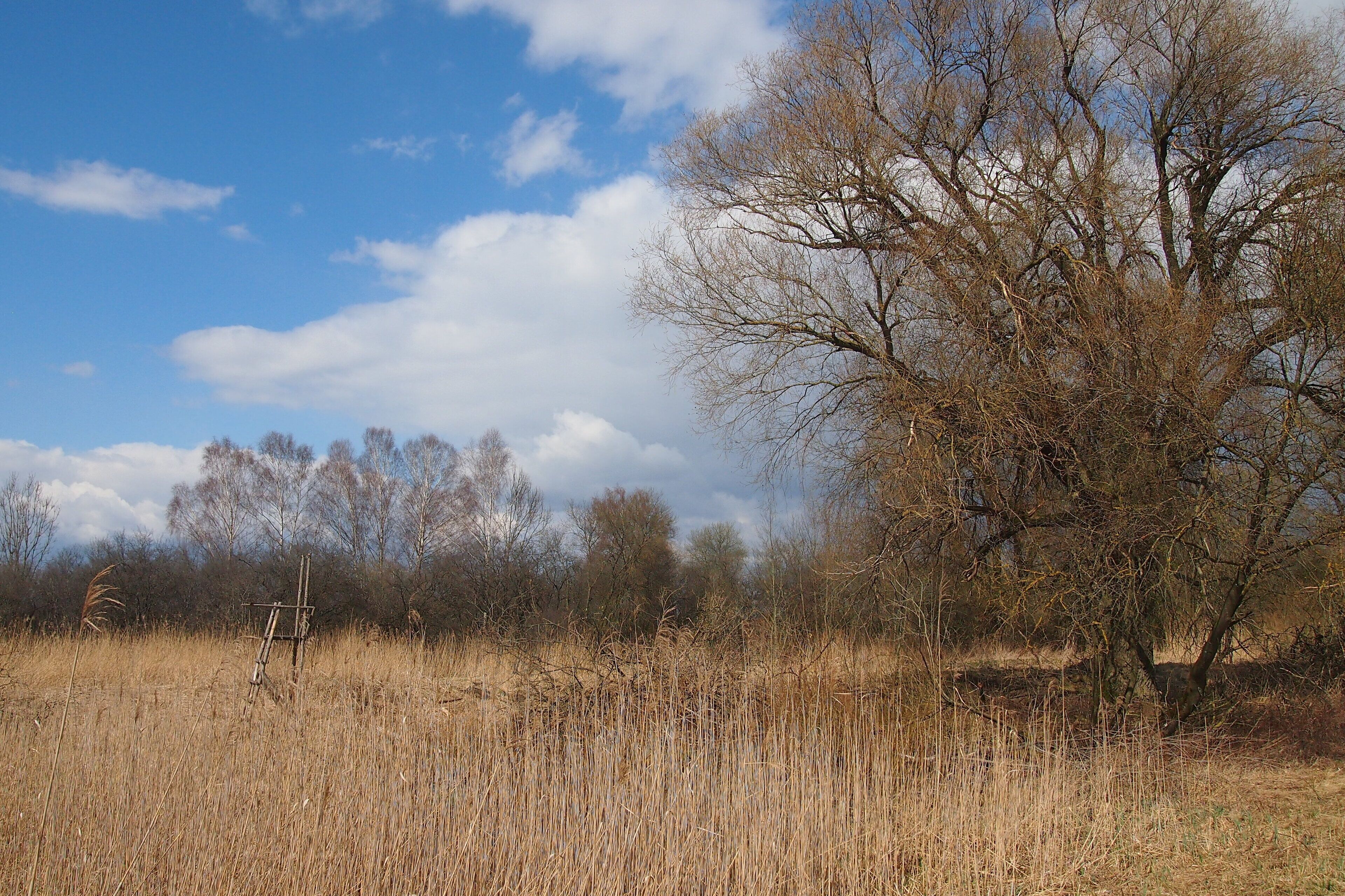 Blick über die Mertinger Höll' ("Mertinger Hölle") im Frühling.