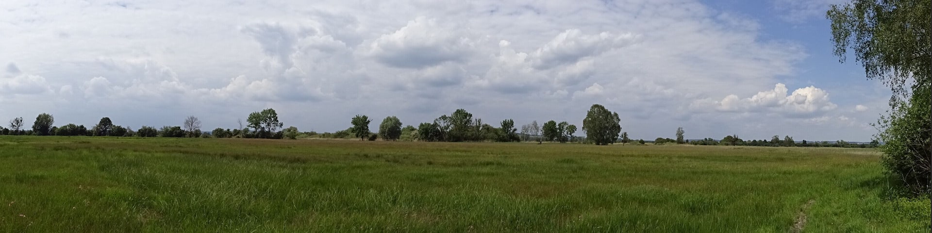 Panoramablick auf die Mertinger Hölle, Naturschutzgebiet „Mertinger Hölle“ (NSG 00208.01)