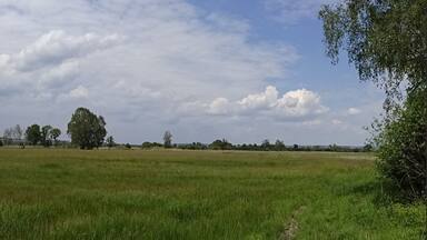 Panoramablick auf die Mertinger Hölle, Naturschutzgebiet „Mertinger Hölle“ (NSG 00208.01)