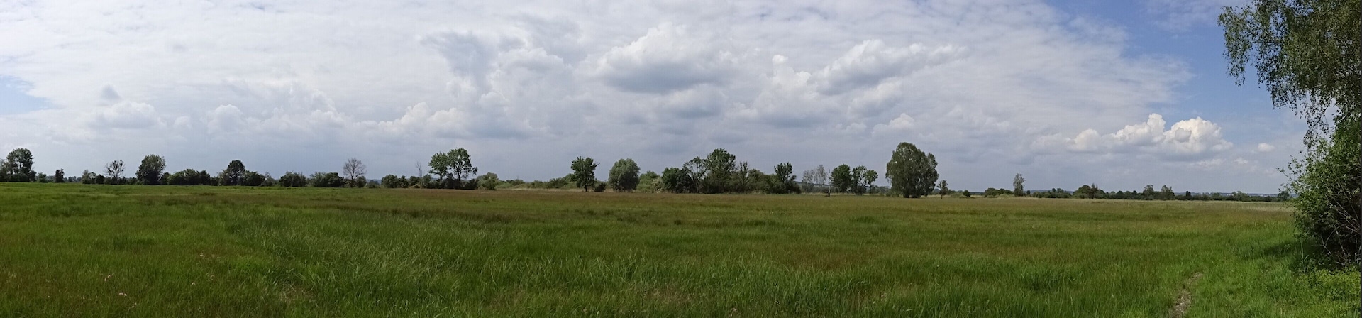 Panoramablick auf die Mertinger Hölle, Naturschutzgebiet „Mertinger Hölle“ (NSG 00208.01)