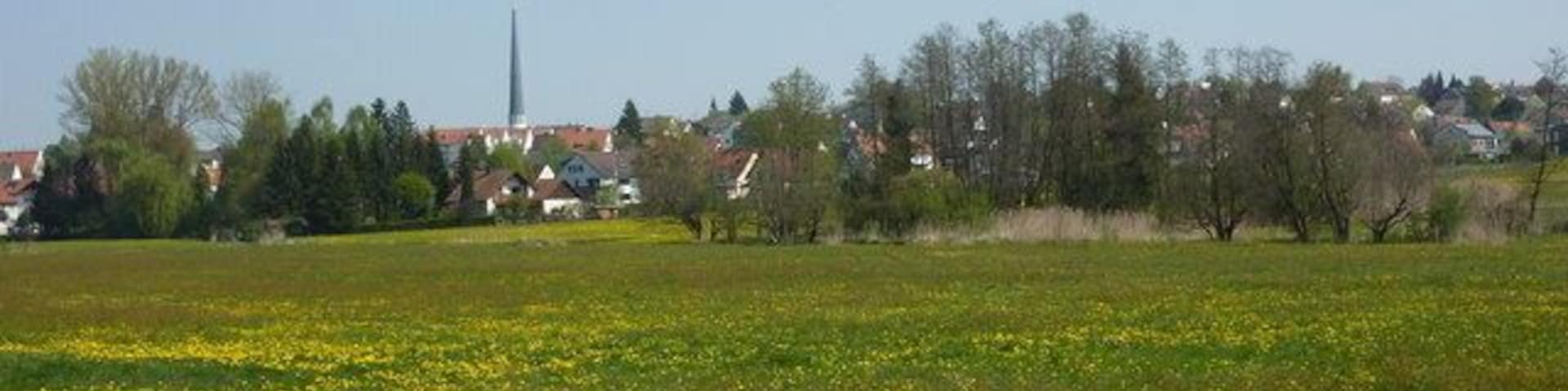 Wiese bei Diedorf