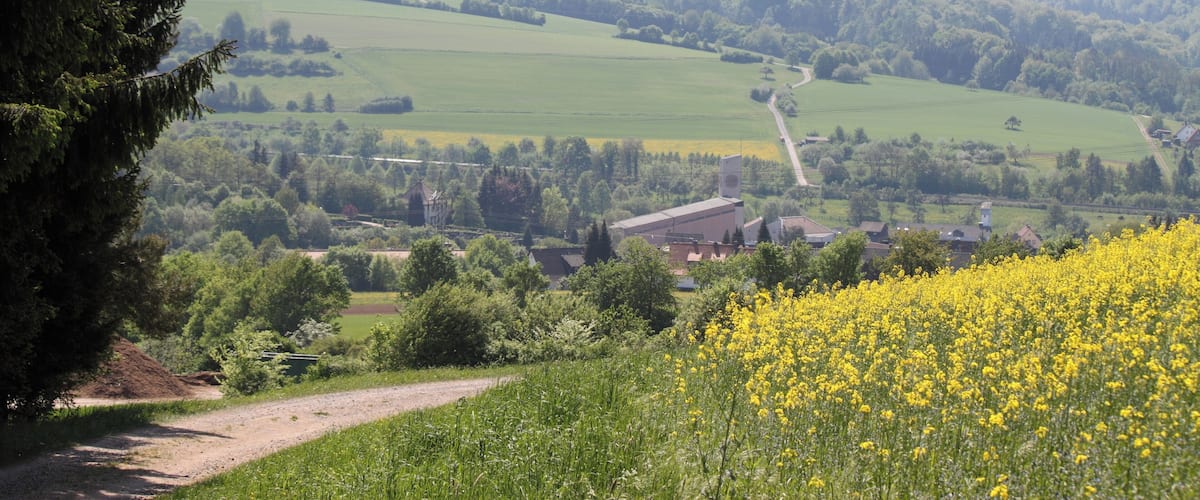 A rural landscape with a field of yellow flowers, a dirt path, and a village in the valley.
