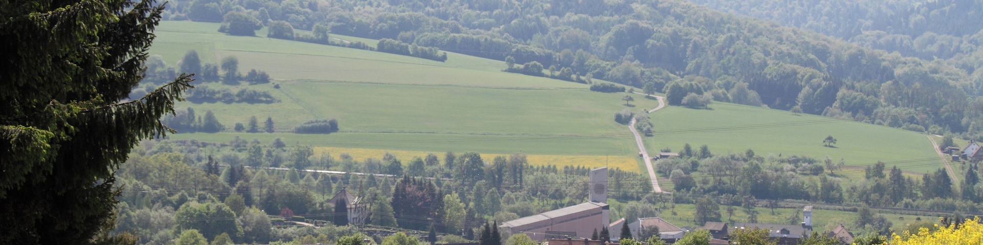 A rural landscape with a field of yellow flowers, a dirt path, and a village in the valley.