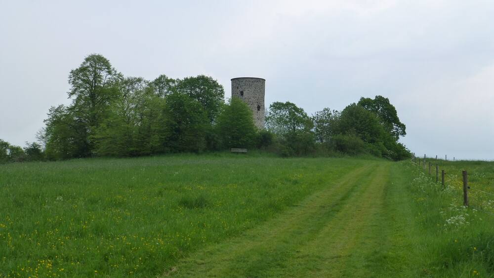 A grassy field with a dirt path leading to a tower-like structure surrounded by trees.