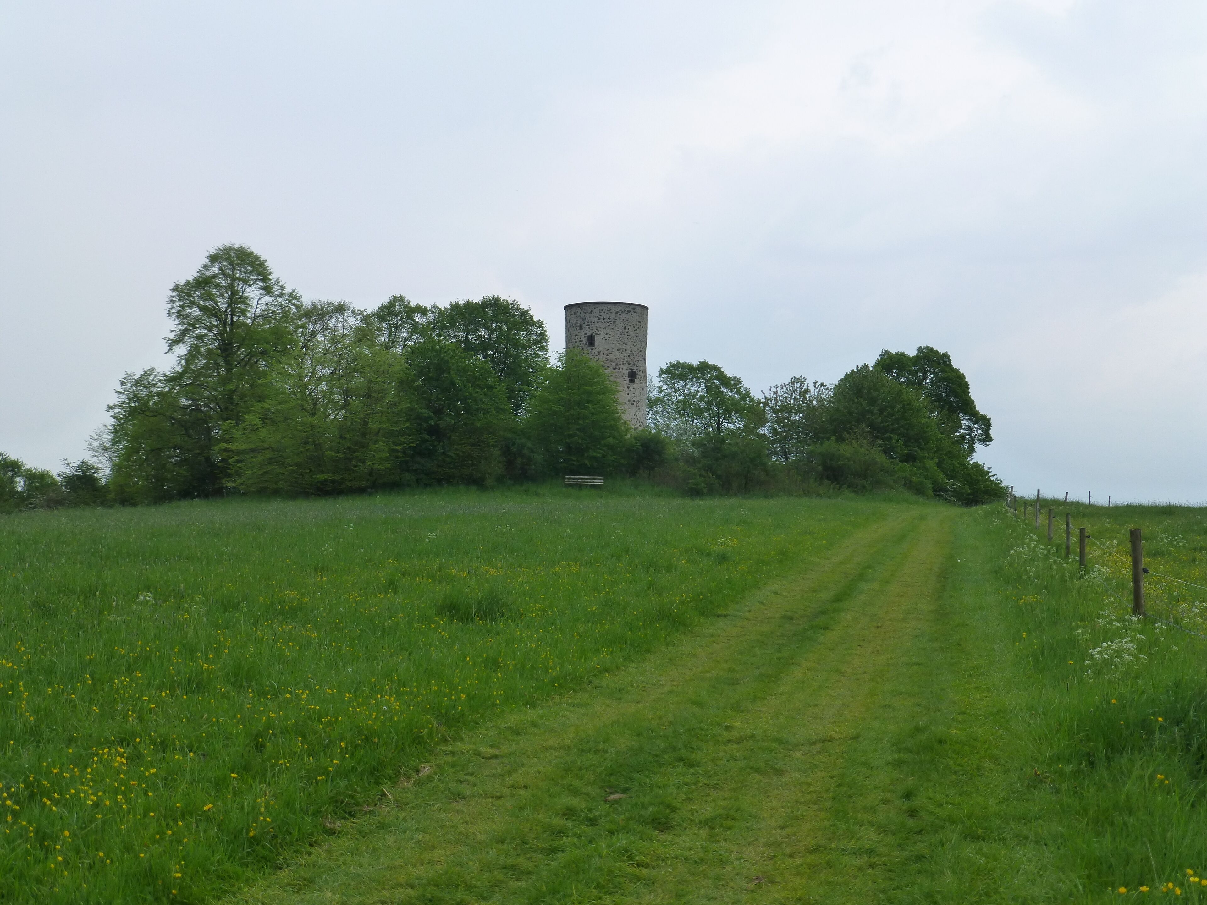 A grassy field with a dirt path leading to a tower-like structure surrounded by trees.