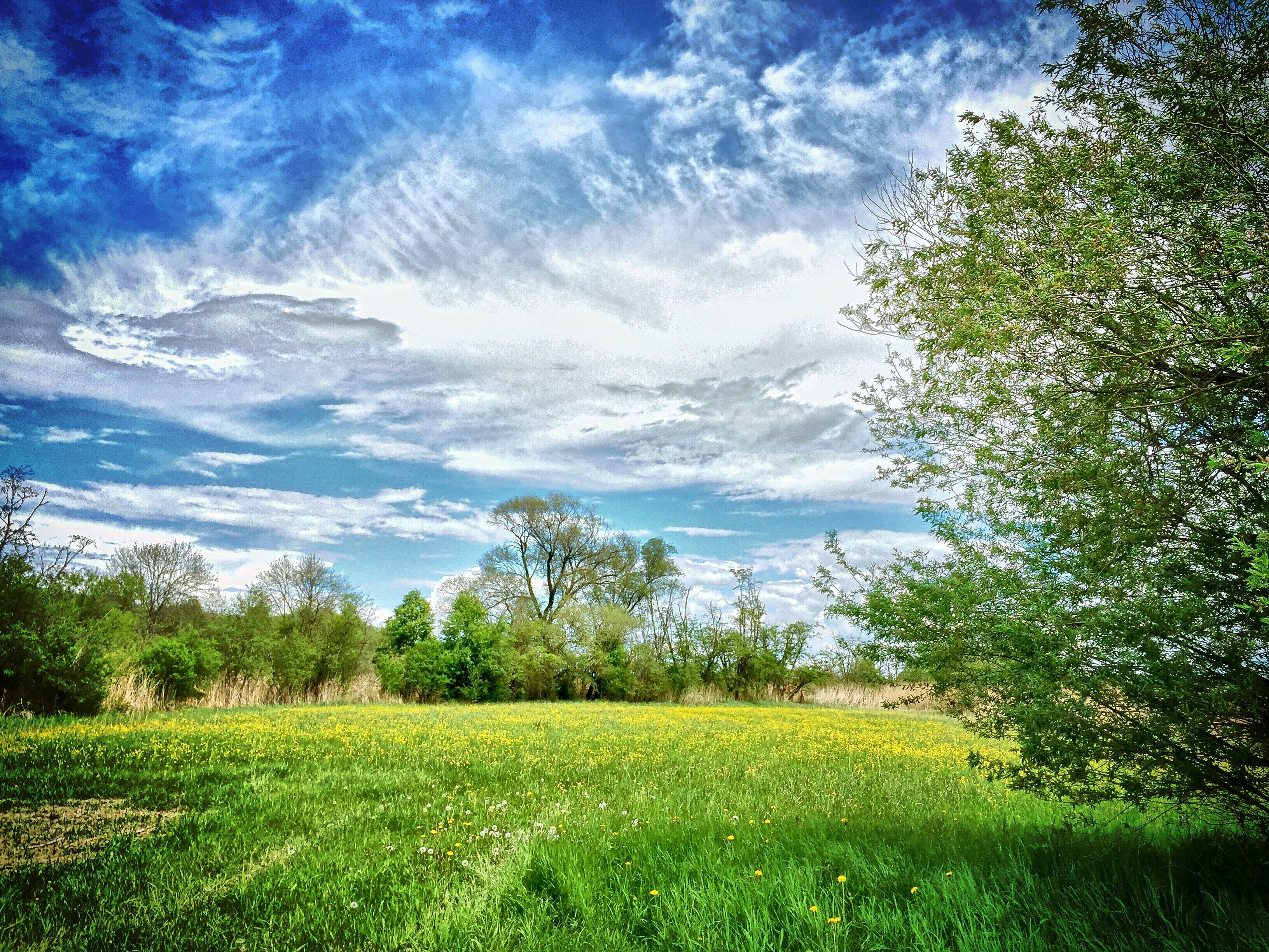 Donaualtwasser Schnödhof