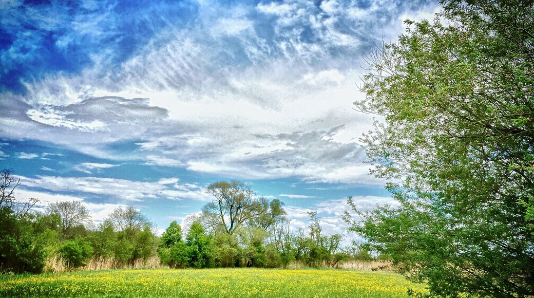 Donaualtwasser Schnödhof