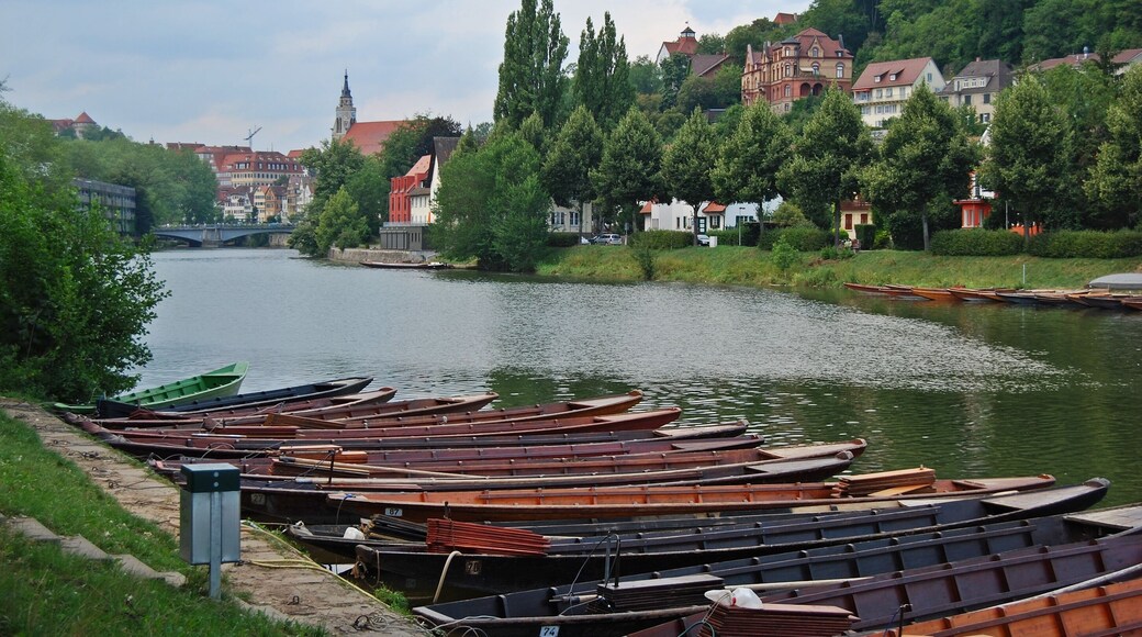 Tübingen waterfront with punts.