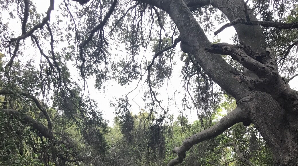 Morning hike exploring around...