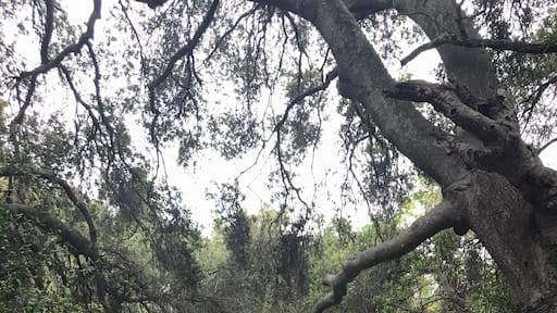 Morning hike exploring around...