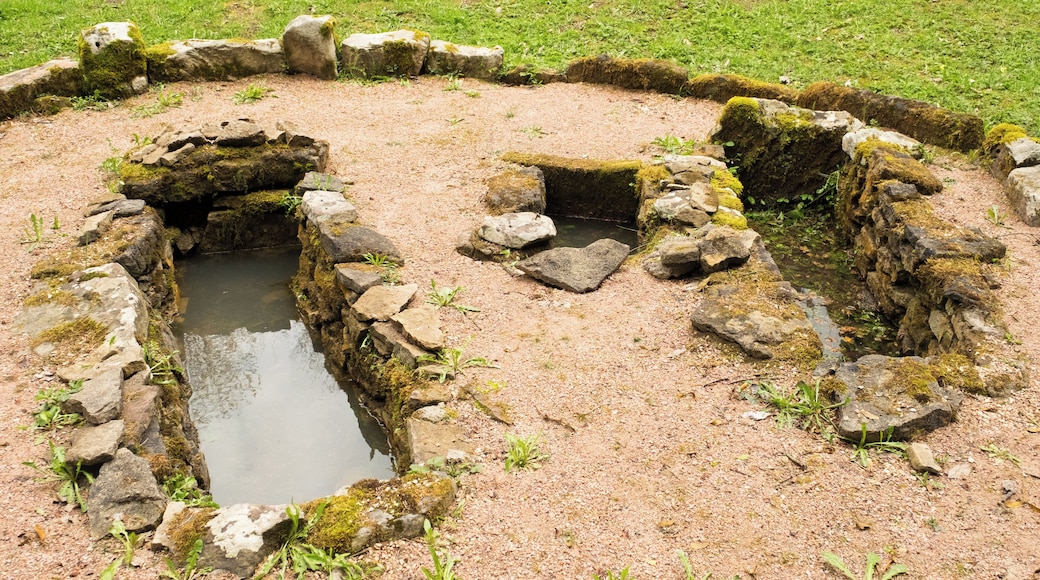 Tumuli, Eggwald, Brigachtal-Überauchen, district Schwarzwald-Baar-Kreis, Baden-Württemberg, Germany