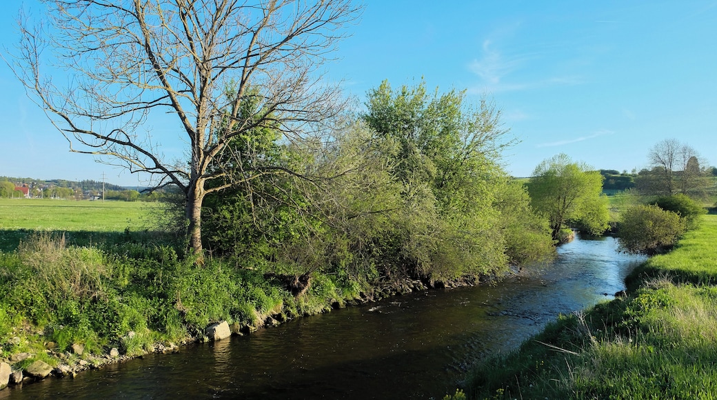 River Brigach near Brigachtal-Kirchdorf, district Schwarzwald-Baar-Kreis, Baden-Württemberg, Germany