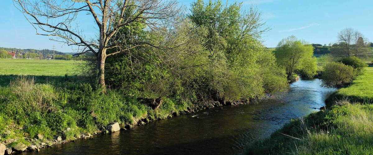 A river flowing through a lush green landscape with trees and a clear blue sky.