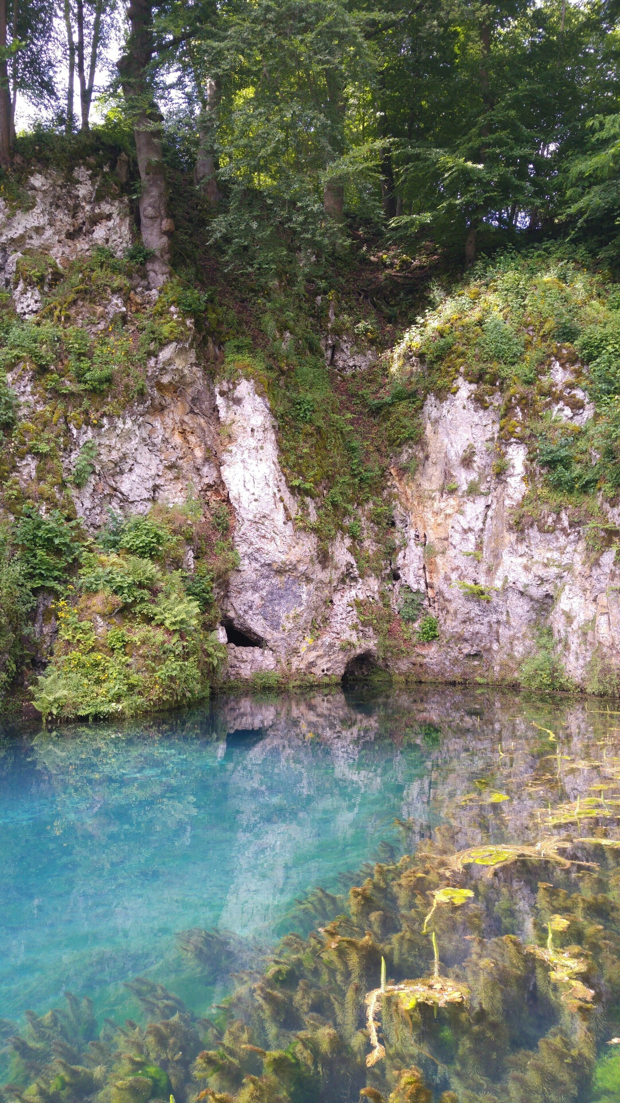 Brenztopf (Quelle der Brenz) in Königsbronn
