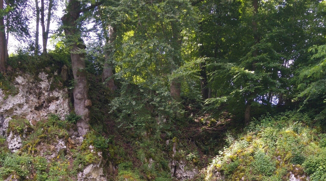 Brenztopf (Quelle der Brenz) in Königsbronn