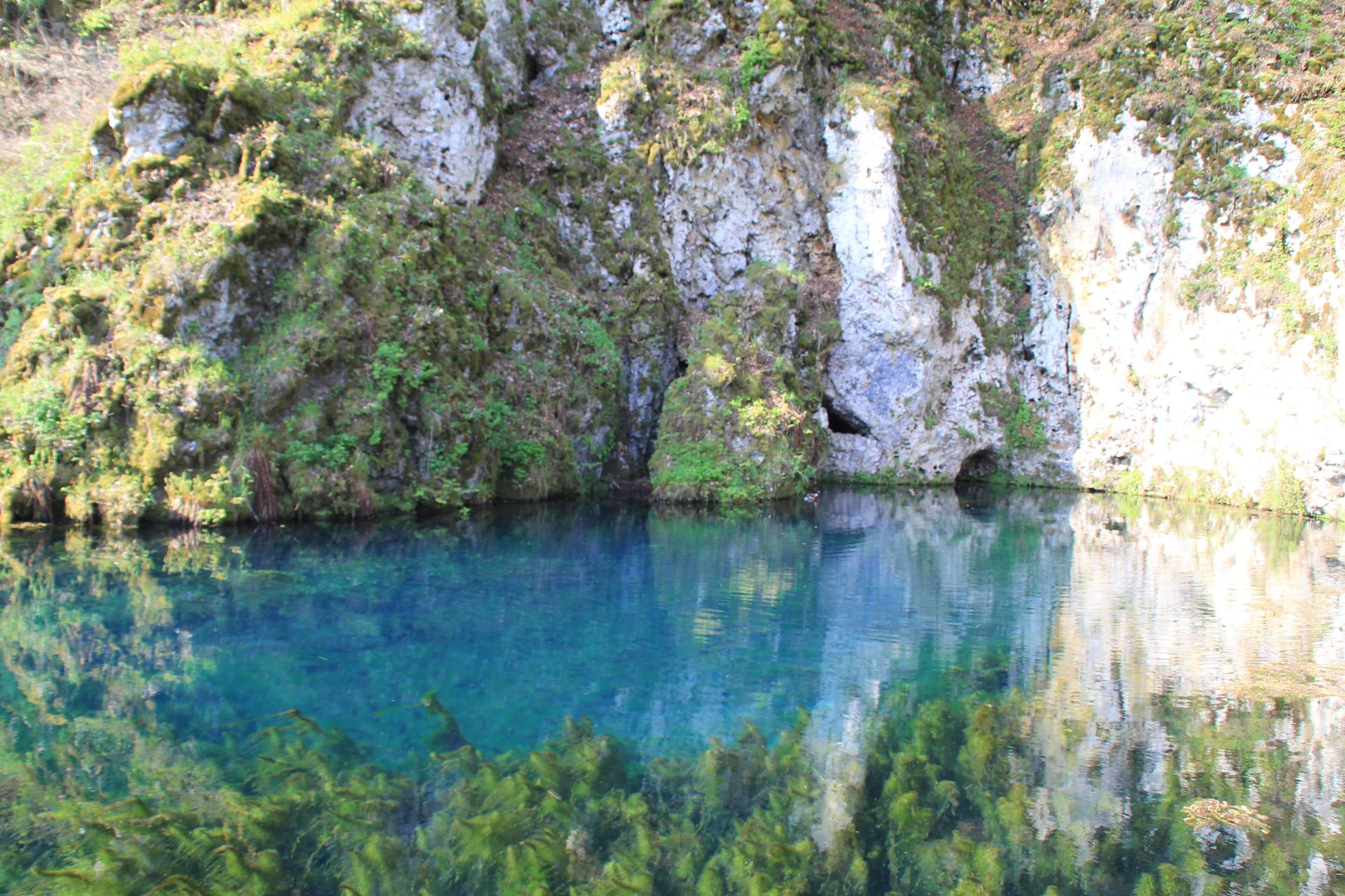 Der Brenztopf bei Königsbronn