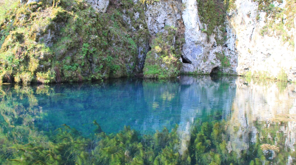 Der Brenztopf bei Königsbronn