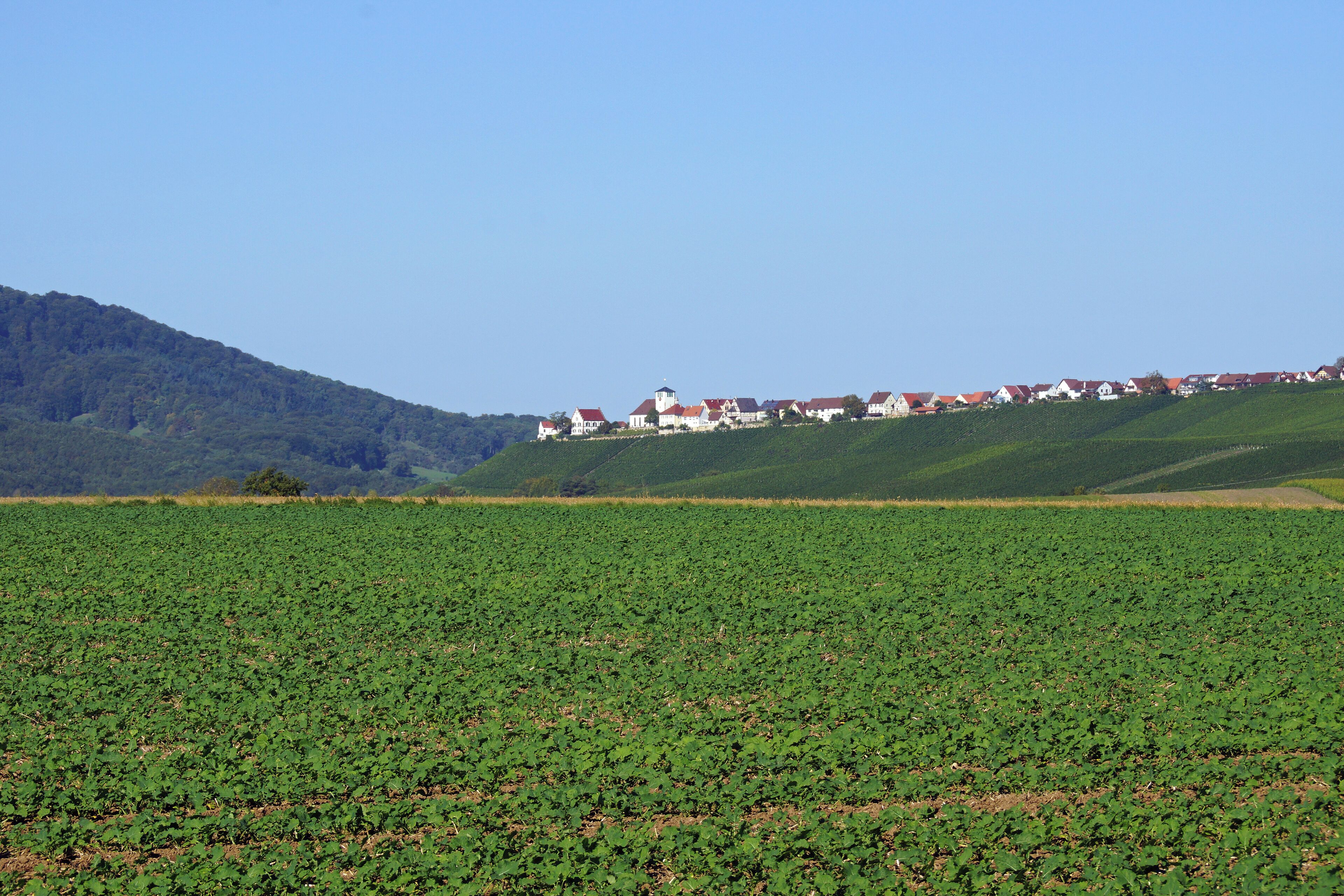 Hohenhaslach 09/2015