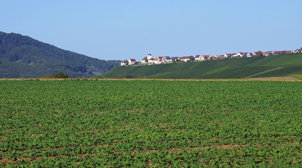 Hohenhaslach 09/2015