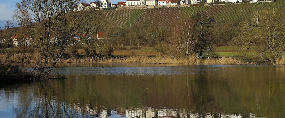 Hohenhaslacher See 12/2013