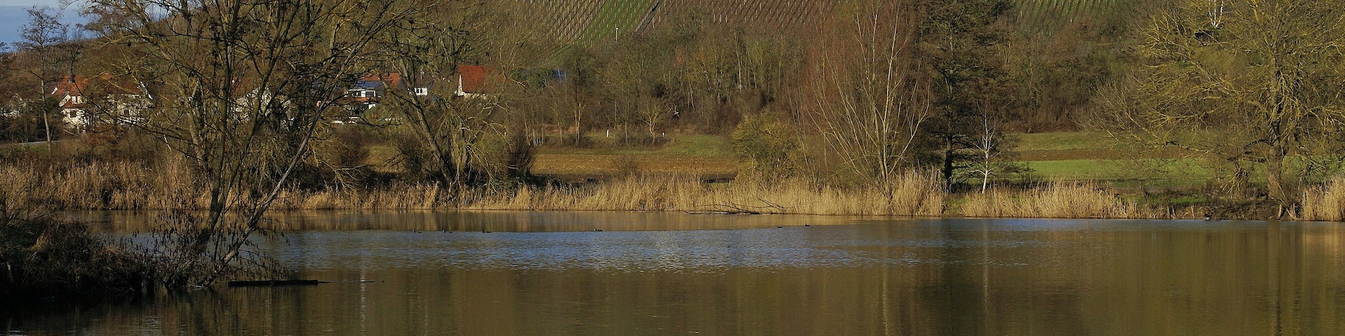 Hohenhaslacher See 12/2013