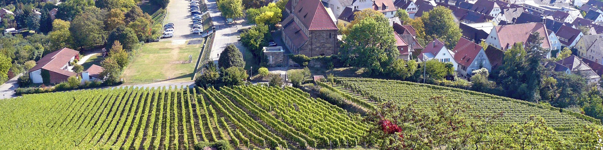Ausblick von der Ruine Weibertreu nach Weinsberg