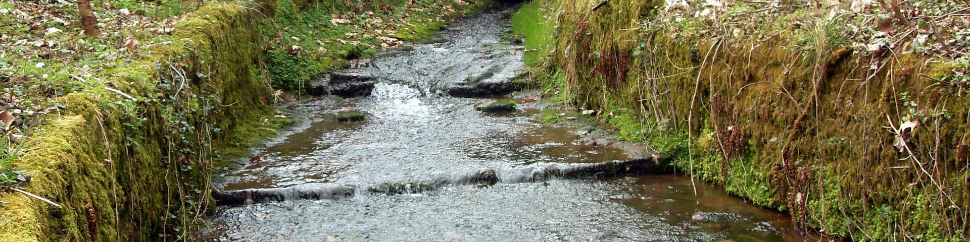 A narrow, moss-covered stone bridge over a small stream in a wooded area.