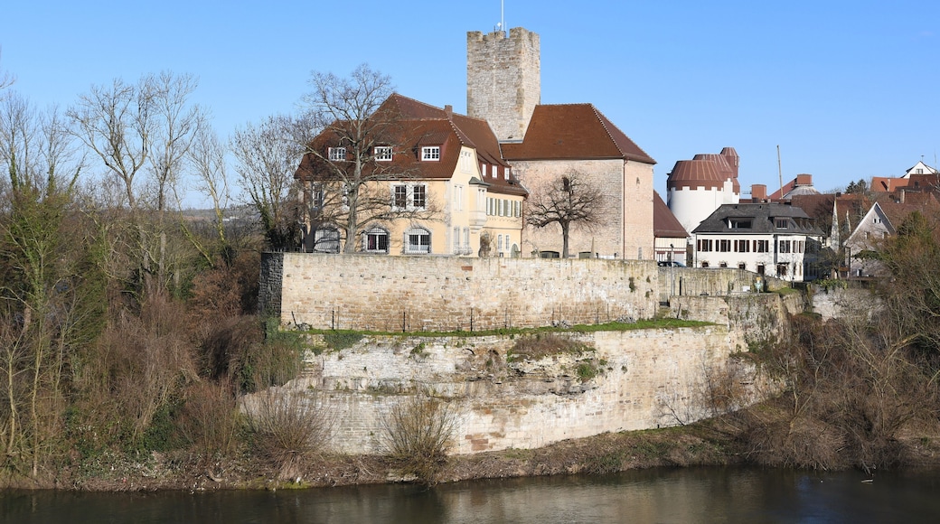 Blick auf die Grafenburg in Lauffen am Neckar vom gegenüberliegenden Neckarufer.