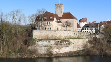 Blick auf die Grafenburg in Lauffen am Neckar vom gegenüberliegenden Neckarufer.