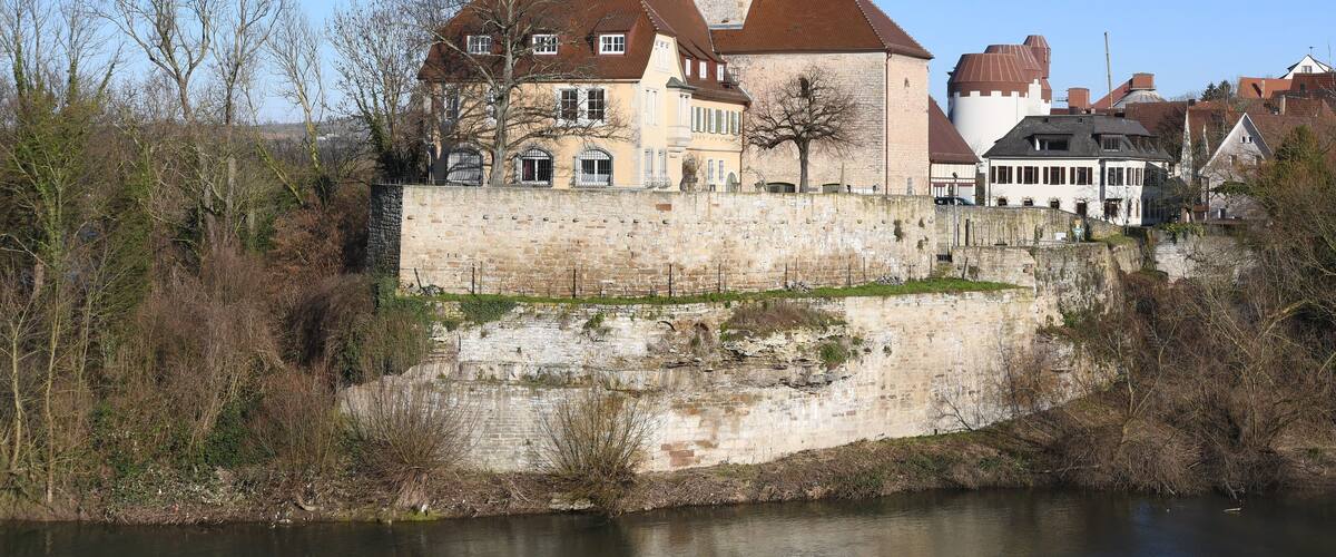 A historic castle with a prominent tower, a river in the foreground, and surrounding trees.
